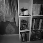 رف مكتبة إضافي (تم البيع)