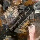 دجاج وديوك عربي ( تم البيع )