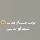 فستان زفاف