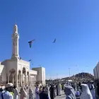 مرشد سياحي لزور المدينة