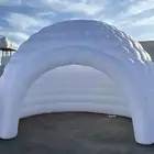 الليث