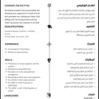 اسوي cv احترافي بسعر حلو