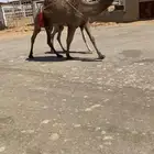للبيع الخلفه