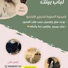طليان بريه ذبايح