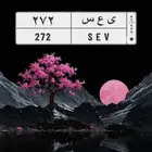 لوحة مميزه للبيع