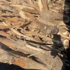 نوع هايلكس سمر شلايخ طيبه ملا الصندوق