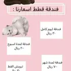 فندقة القطط