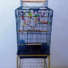 قفاص ببغاوات كبير