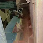 صندوق قلاب عايدي نضيف بستم امامي