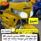 قولد للبيع بتبوك للمعاينة عند سعد موتور