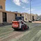بوبكات للايجار شيول حواس