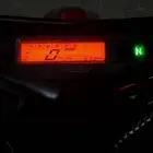دباب صحراوي