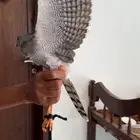 طار باز السعر حلو الصحه جيدا