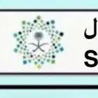 لوحة س ل ل - 1 للبيع