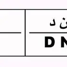 لوحة مميزه   نقل