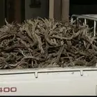 سلام يوجد صندوق ددسن غمارتين يبس