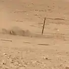 حمام دحل صيد اليوم 31 حبه