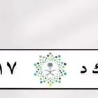 لوحه