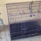 قفص قطط ينفع للطيور