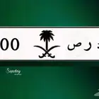 لوحة مميزة للبيع 500
