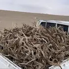 يوجد صندوق ددسن غمارتين