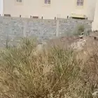 الارض للبيع مخطط السلام ( العكاسي )