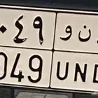 لوحة ترمز لإسم دانه- ندى