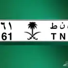 للبيع لوحه مميزه ل ن ط 61