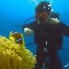 تجربة غوص