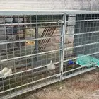 قفص نحل للبيع