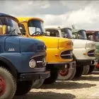 مزاد تريلات راس بوز و راس البي و راس سكوس كلها