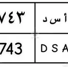 لوحة خصوصي اسد (تم البيع)