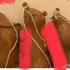 جلود مدبوغه جاهزه للاستعمال