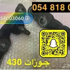 جوزات امامية لكزس Ls430