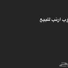 مطلوب ارانب للبيع