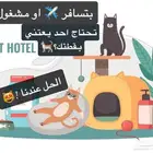 فندقة قطط بالرياض 35 ريال فقط لليوم الواحد