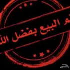 ببغاء الكويكر او الراهب تم البيع
