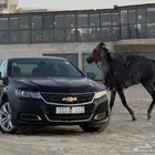 لوحة مميزة مصدر عطر