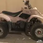 دباب صغير للبيع