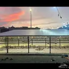 بيت شعر المطور