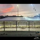 بيت شعر ملكي_بيت شعر المطور