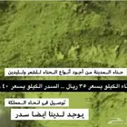 حناء المدينه و سدر