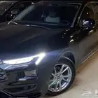 تورس ترند 2024