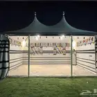 خيمه الصقور