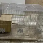 قفص طيور كبير