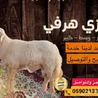 ذبايح حري