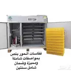 فقاسات الحور وأدوات الدواجن