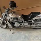 هارلي v rod