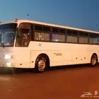 باص هونداي 2800   50 راكب