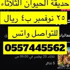 حديقة الحيوان الثلاثاء 26 نوفمبر